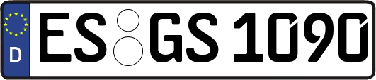 ES-GS1090