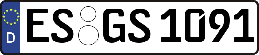 ES-GS1091