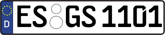 ES-GS1101