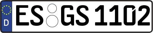 ES-GS1102