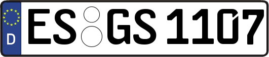 ES-GS1107