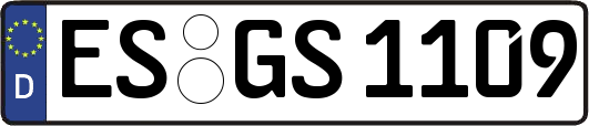 ES-GS1109