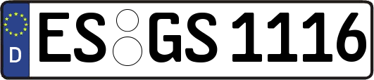 ES-GS1116