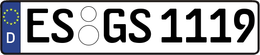 ES-GS1119
