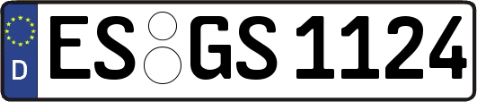 ES-GS1124