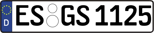 ES-GS1125