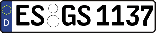 ES-GS1137