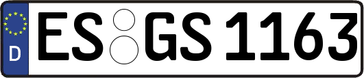 ES-GS1163