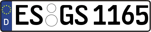 ES-GS1165