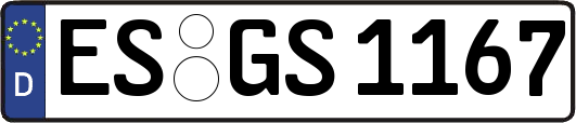 ES-GS1167