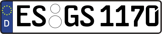 ES-GS1170
