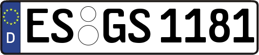 ES-GS1181
