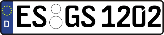 ES-GS1202