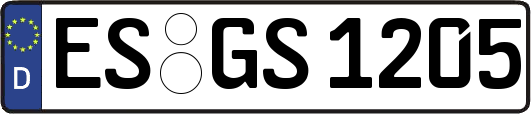 ES-GS1205