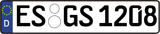 ES-GS1208