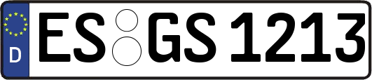 ES-GS1213