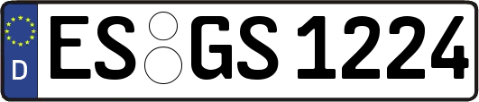 ES-GS1224