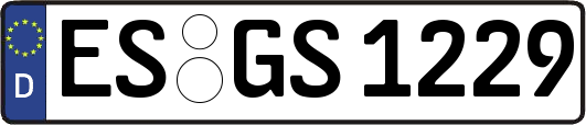 ES-GS1229