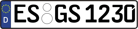 ES-GS1230