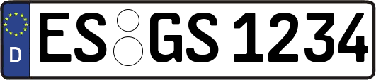 ES-GS1234