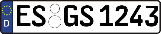 ES-GS1243