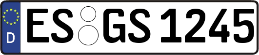ES-GS1245