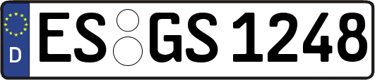 ES-GS1248