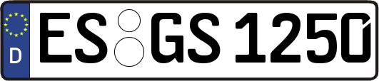 ES-GS1250