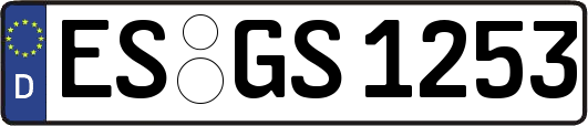 ES-GS1253