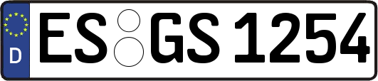 ES-GS1254