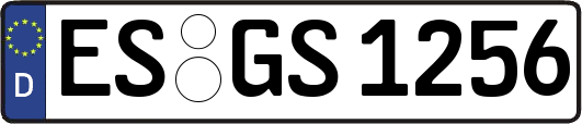 ES-GS1256