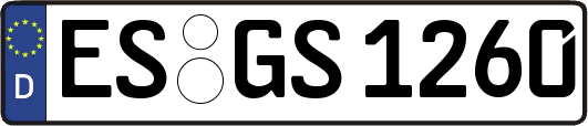 ES-GS1260