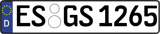 ES-GS1265