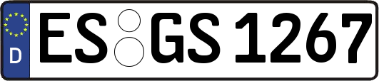 ES-GS1267