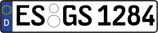 ES-GS1284