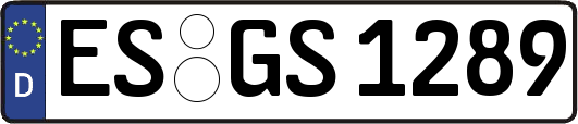 ES-GS1289