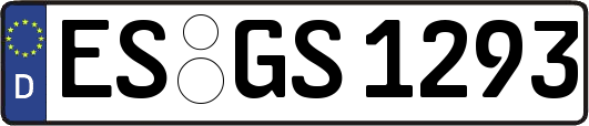 ES-GS1293