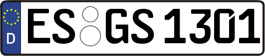 ES-GS1301