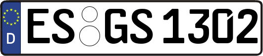 ES-GS1302
