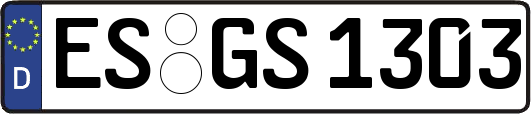 ES-GS1303