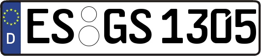 ES-GS1305
