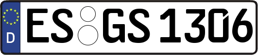ES-GS1306