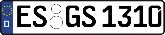 ES-GS1310