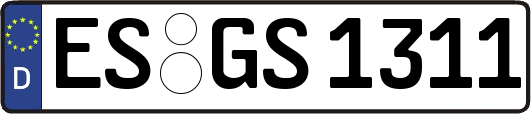 ES-GS1311