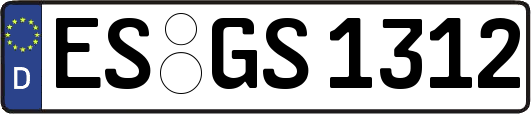 ES-GS1312