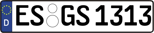 ES-GS1313