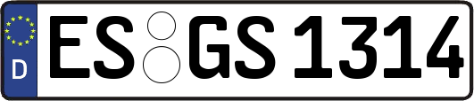 ES-GS1314