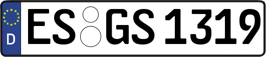 ES-GS1319