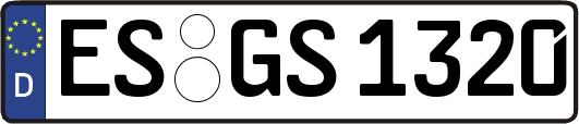 ES-GS1320