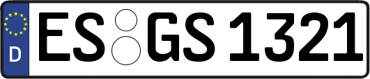 ES-GS1321